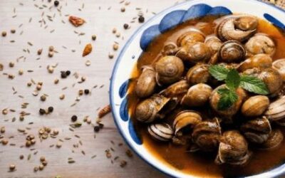 ¿Qué tipos de especias para caracoles hay?